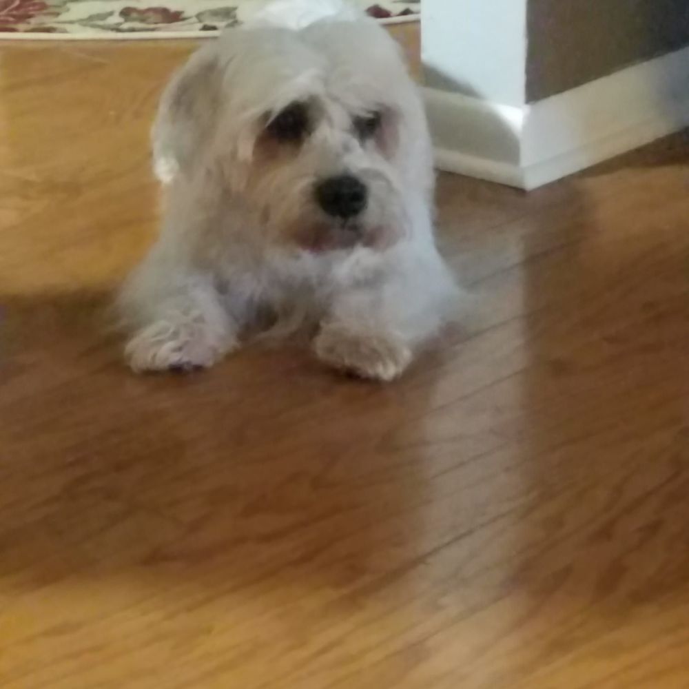 Meet your Posher, Debra